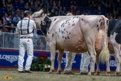 A100244-35840 A100244-35840