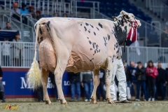 A100269-35849 A100269-35849