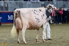 A100275-35850 A100275-35850