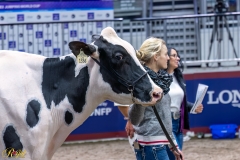 AR308637-35806 AR308637-35806