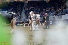 AR308675-35825 AR308675-35825