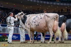 AR308711-35838 AR308711-35838