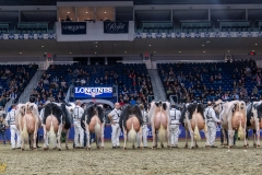 AR308727-35841 AR308727-35841