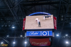 AR308731-35843 AR308731-35843