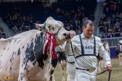 AR308756-35852 AR308756-35852