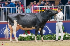 KVB08635-35809 KVB08635-35809