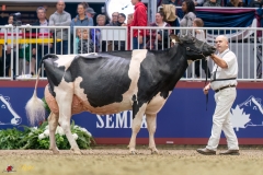 KVB08639-35813 KVB08639-35813