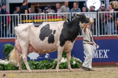 KVB08642-35817 KVB08642-35817