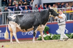 KVB08644-35818 KVB08644-35818