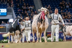 KVB08665-35846 KVB08665-35846