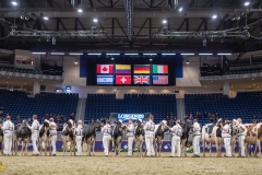 AR307666-35353 AR307666-35353