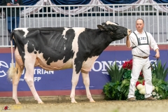 KVB07449-35300 KVB07449-35300