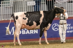 KVB07469-35306 KVB07469-35306