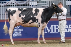 KVB07472-35308 KVB07472-35308