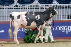 KVB07500-35318 KVB07500-35318