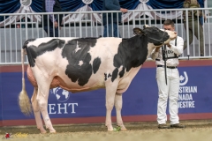 KVB07504-35319 KVB07504-35319