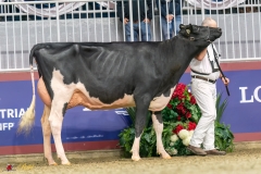 KVB07535-35333 KVB07535-35333