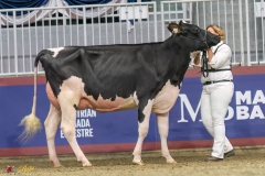 KVB07537-35334 KVB07537-35334