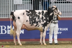 KVB07543-35336 KVB07543-35336