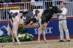 KVB07557-35343 KVB07557-35343