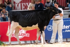 A107148-35091 A107148-35091