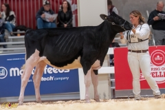 A107172-35095 A107172-35095