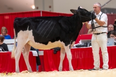 A107212-35102 A107212-35102