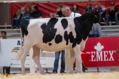 A107231-35104 A107231-35104