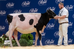 A107277-35111 A107277-35111