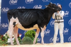 A107327-35118 A107327-35118