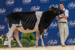 A107338-35119 A107338-35119