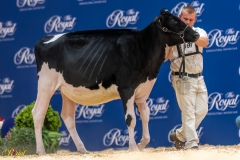 A107346-35120 A107346-35120