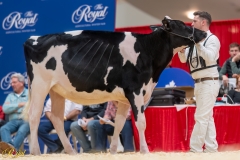 A107392-35127 A107392-35127