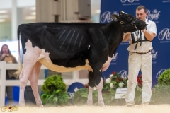 A107409-35130 A107409-35130