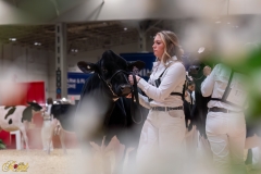 AR306708-35128 AR306708-35128