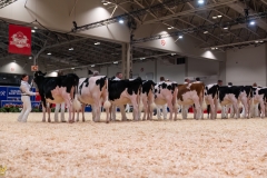 AR306767-35134 AR306767-35134