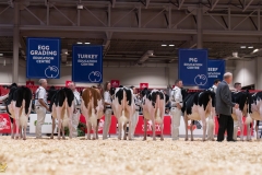 AR306820-35141 AR306820-35141