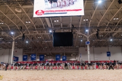 AR306829-35144 AR306829-35144