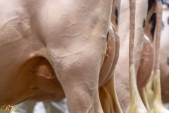 A108872-35487 A108872-35487