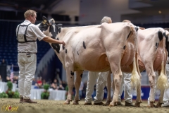 A108882-35488 A108882-35488