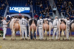 A108906-35493 A108906-35493