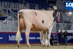 A108915-35495 A108915-35495