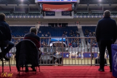 AR307948-35473 AR307948-35473