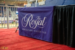 AR307950-35474 AR307950-35474