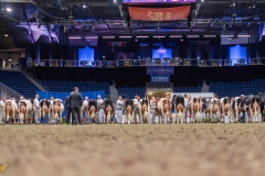 AR307982-35484 AR307982-35484