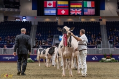 AR308019-35494 AR308019-35494