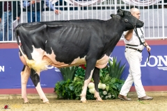 KVB07736-35452 KVB07736-35452