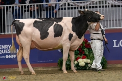 KVB07759-35461 KVB07759-35461