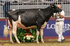 KVB07772-35466 KVB07772-35466