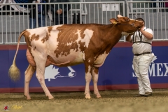 KVB07776-35468 KVB07776-35468